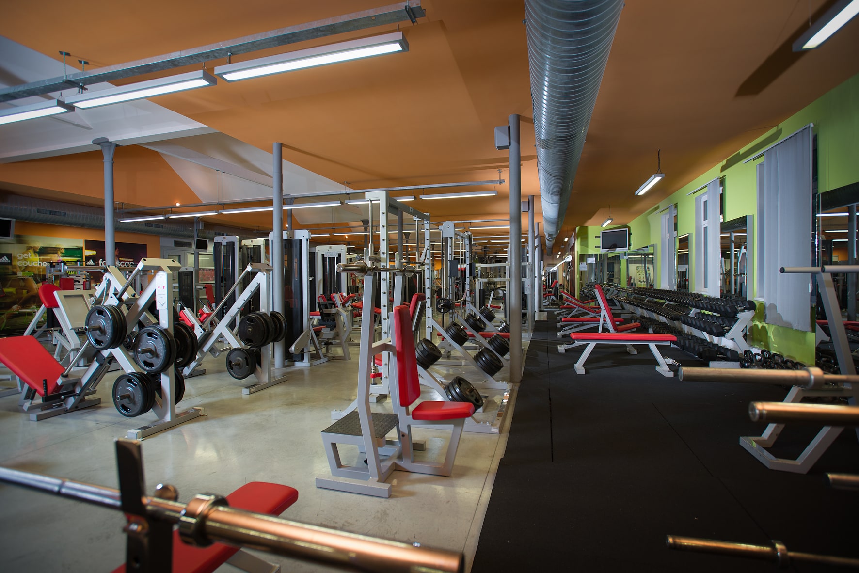 Fitness